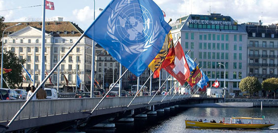 Organisations internationales et NGOs