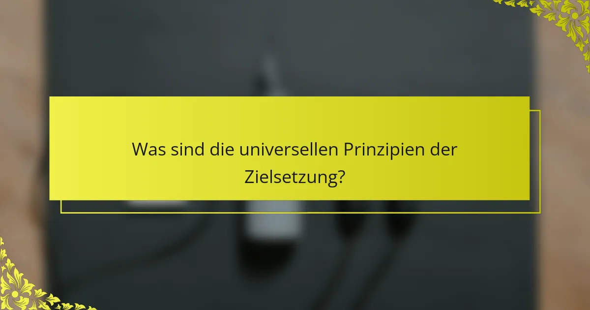 Was sind die universellen Prinzipien der Zielsetzung?